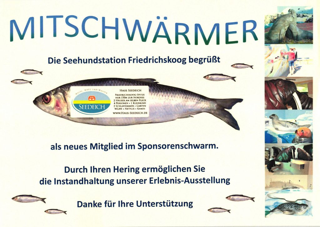 Bild der Urkunde als Mitschwärmer im Sponsorenschwarm