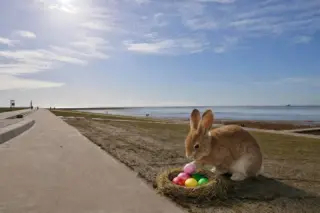 Instagram post from hausseedeich. This post is in position 1.