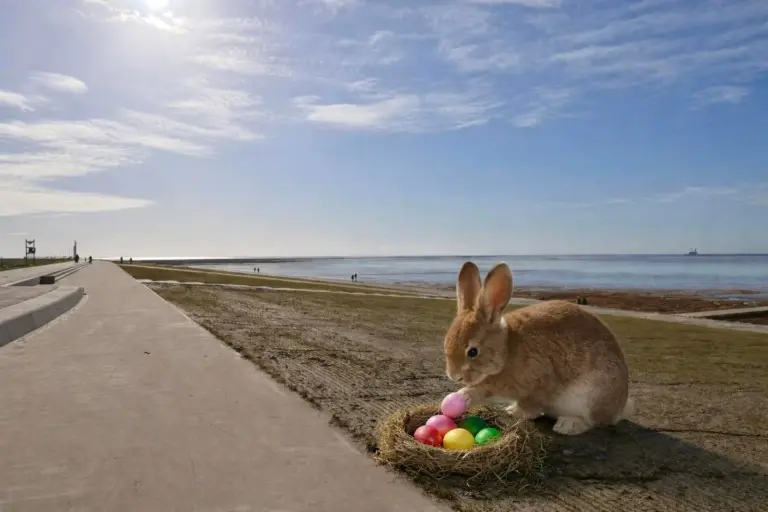 Instagram post from hausseedeich. This post is in position 0.