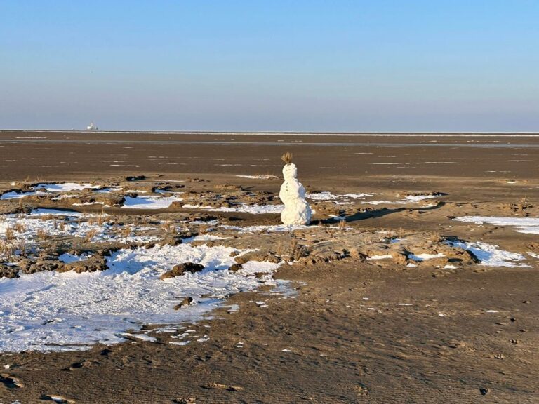 Instagram post from hausseedeich. This post is in position 4.